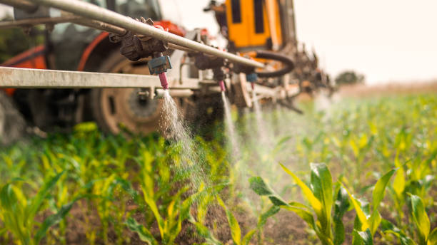 Insect Control in Hayfield, VA